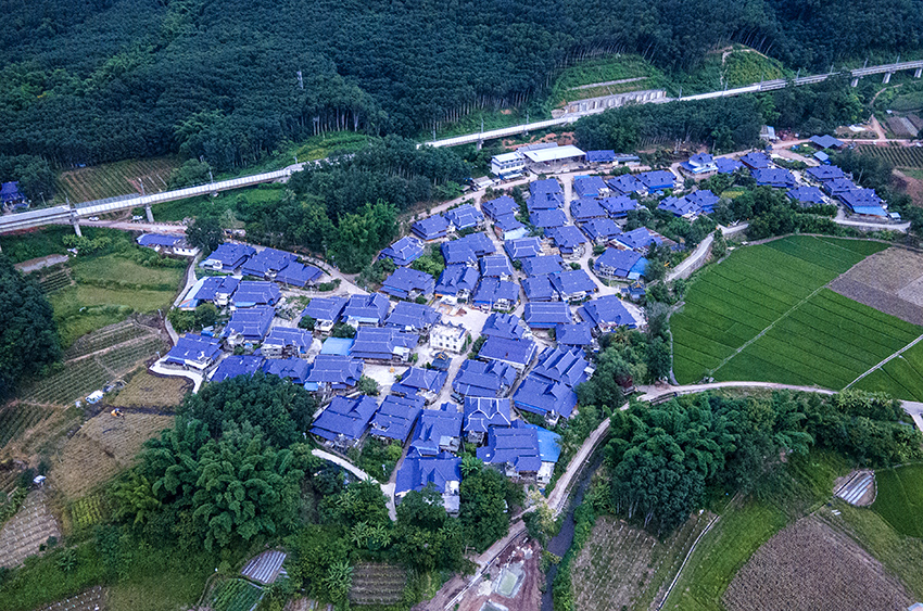 磨憨鎮(zhèn)曼莊村大龍哈小組現(xiàn)代化邊境幸福村新貌。人民網(wǎng)記者 符皓攝